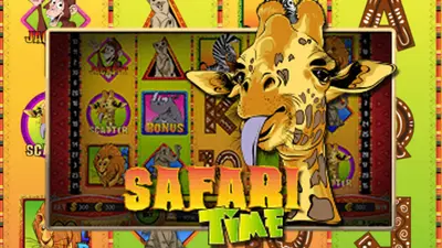safari time